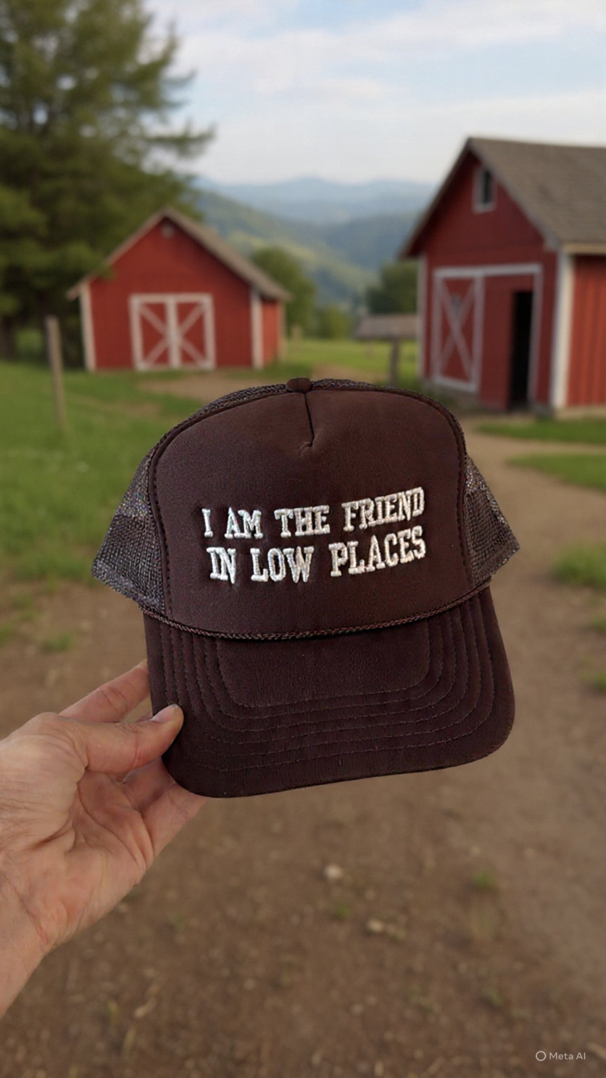 Friend In Low Places