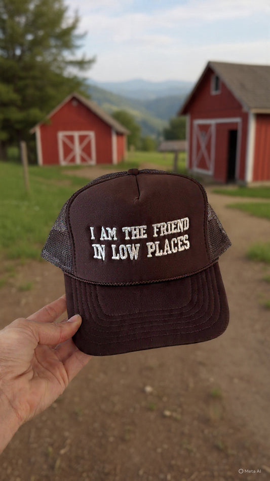 Friend In Low Places